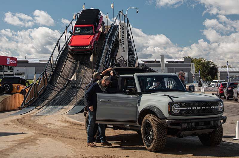 Bronco on a Hill and Bronco up close